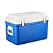 UCYG Portatil Nevera Termoeléctrica Rígida, Grande Cooler Cool Box con Enfriamiento Y Preservación para Acampada Senderismo Coche Playa, 32L, 38L, 45L, Azul (Capacity : 38L)