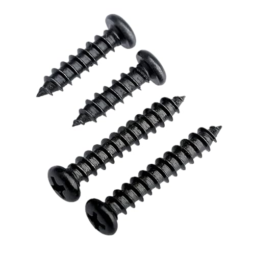 FandWay M3x10mm Rundkopf Blechschrauben,Linsenkopf Selbstschneidende Schrauben Kreuzschlitz,Edelstahl A2 V2A Schwarzes Oxid Holzschrauben,Pan Kopf Selbstbohrende Schrauben Vollgewinde.(100 Stück)