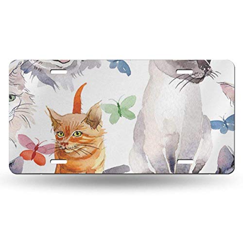 Coque iPhone transparente TPU souple fine pour protection XR XS Max 11 12 13