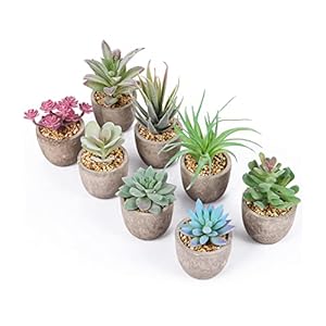 Succulentes Artificielles,8pcs, Interieur, Petite Fausses Plantes Vertes Décoration, Grasses en Pot