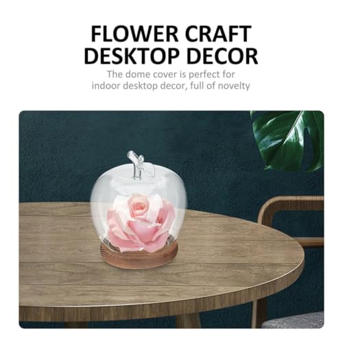 Cubierta de vidrio para flores preservadas Healeved con base de madera decorativa 4