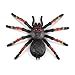Robo Alive Giant Tarantula by ZURU Battery-Powered Robotic Interactive Electronic Spider That Moves and Crawls, Comes with Web Slime, Prankst Toys for Boys, Kids, Teens