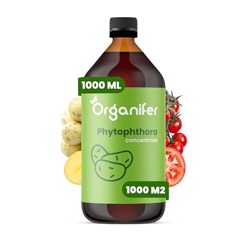 Concentrado De Phytophthora - 1000 Ml Por 1000 M2 - Preparado Para Patatas Y Tomates - Cuidado De Plantas - Fertilizante - Fertilizante De Jardín - Organifer