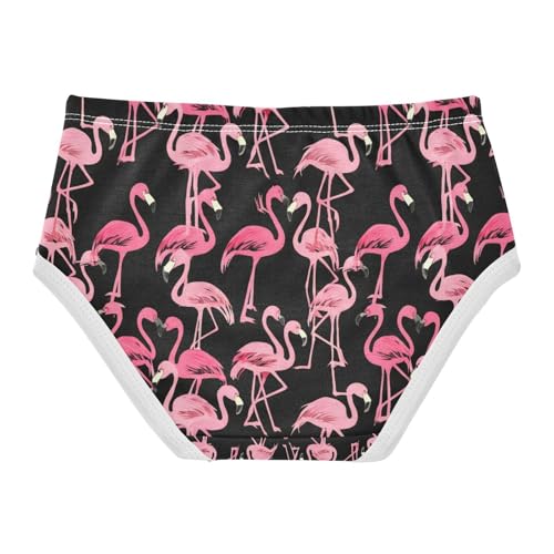 Pink Flamingo Toddler Girls's Underwear 2T 202c13372