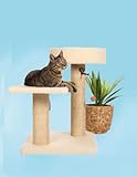 CLEVERCAT