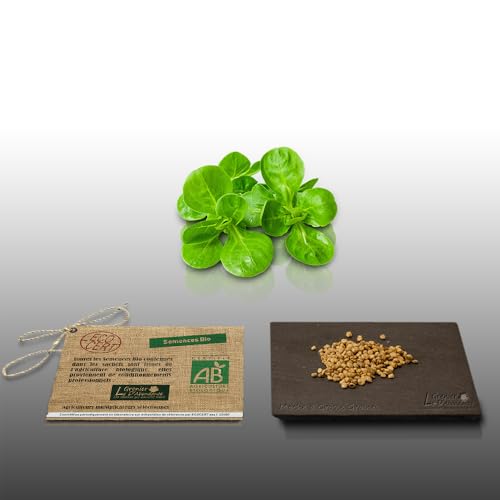 250 graines Bio à semer - Le Grenier d'Abondance - MACHE Doucette - Certifié AB - Valerianella locusta