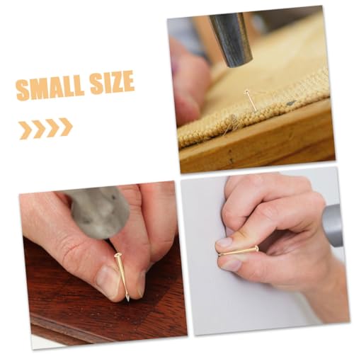 jojofuny 200pcs Clavos de Cobre Cabeza Redonda para Tablero de Anuncios Tapicería Colgante de Pared Hogar Oficina miniatura 5
