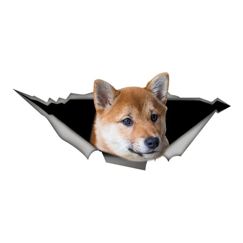 CHSLO Shiba Inu Hund Auto Aufkleber Vinyl Aufkleber Wasserdichte Auto Aufkleber auf Motorrad Laptop