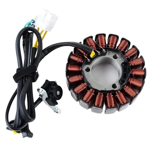 Generateur moto avec plaque stator pour BX250 et BR250 charge optimale de batterie