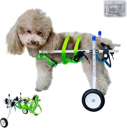 Fauteuil roulant pour petits animaux XXS/XS chat et chien