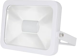 Silver Electronics LED proiettore SMD, 30 W, bianco