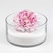 HEKU 30330-01-Arena decorativa (750 g, en caja reutilizable), color blanco
