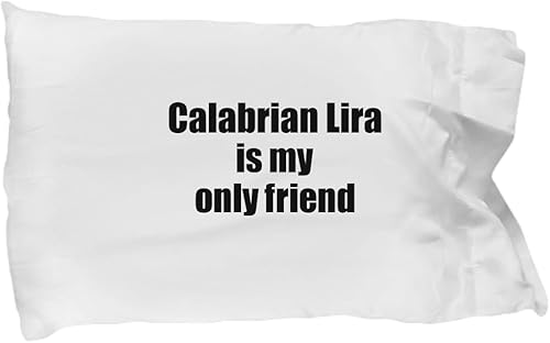 EzGift Funny Calabrian Lira Pillowcase is My Only Friend Quote Musician Gift for Instrument Player Pillow Cover Case 20x30