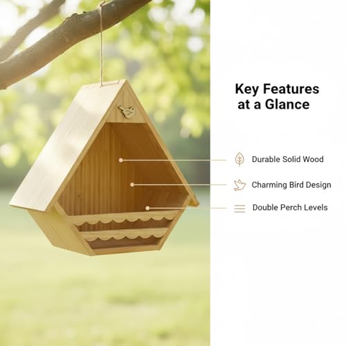 Maison d'oiseaux pour l'extérieur pour observer les moineaux - 6