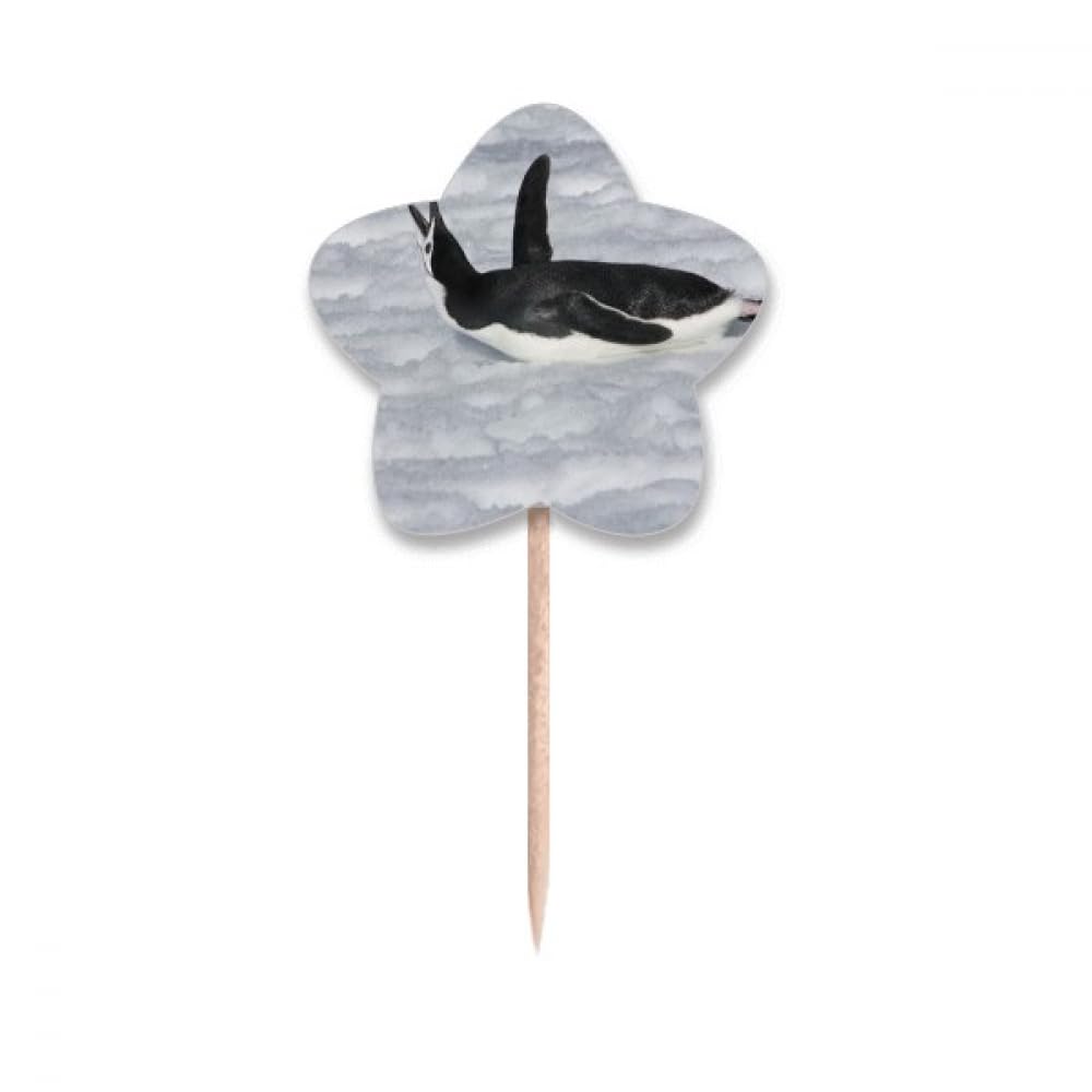 Pics à cupcakes pingouin en papier rigide noir et étoiles argentées de haute qualité