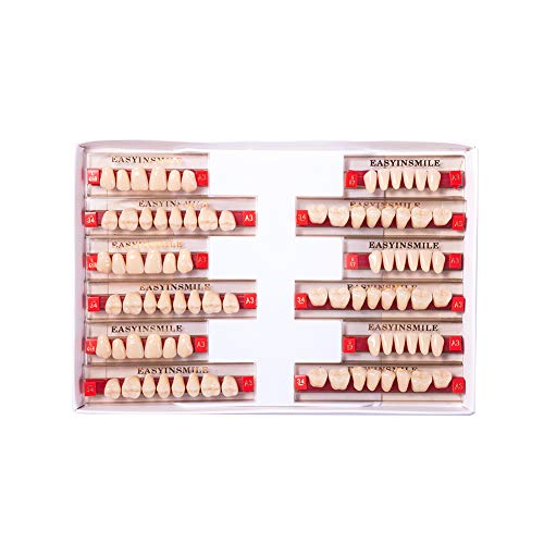 Image of Easyinsmile Dental Synthetic Resin Teeth A2 A3 False Upper Lower Teeth Replacement Dentures for Halloween (A3, Full Set 468+U67+34)