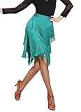 Z&X Women's Ballroom Latin Tango Slasa Dance Skirt Fringe Split Leg Dance Dress with Shorts (Tag L, Green)