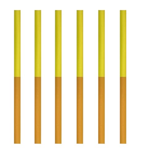 LANGXUN 6pcs Foam Rods for 55-60 Inch Trampolines