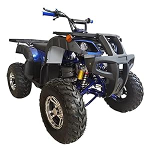 X-PRO 200 Adult ATV with Automatic ...
