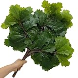 jiumengsong 12pcs Artificial Oak Tree Leaf Stems Faux Greebery Plant Oak Tree Branches (Small Serration Green)