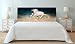 Tête de lit lit différentes mesures PVC Impression Cheval Blanc 150x60cm