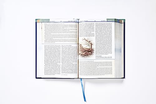 Image of NBLA, Biblia Cronologica de Estudio, Tapa dura, Interior a cuatro colores, Comfort Print (Spanish Edition)
