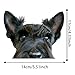 2-Pack Black Scottish Terrier Car Decal Sticker, 5.51