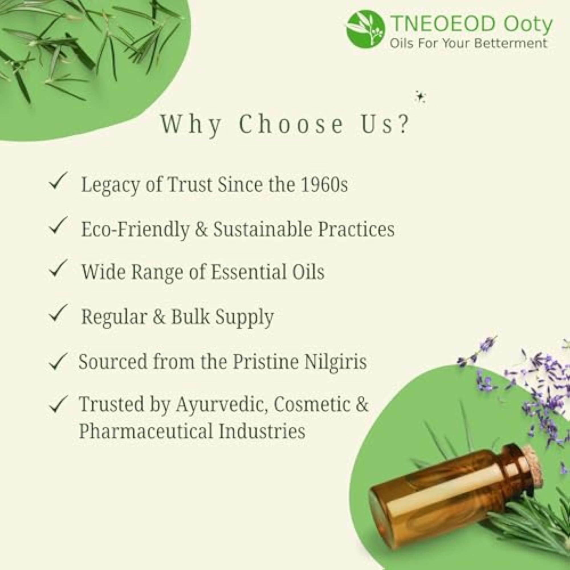 TNEOEOD Ooty Clove Essential Oil, 30ml