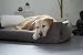 Lebon - Hundebett Gordon -Beige/Braun Kuschelweich mit Dicker Liegefläche- 3 Größen- Waschbar (M)