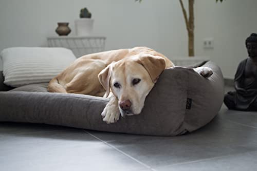Lebon - Hundebett Gordon -Beige/Braun Kuschelweich mit Dicker Liegefläche- 3 Größen- Waschbar (M)