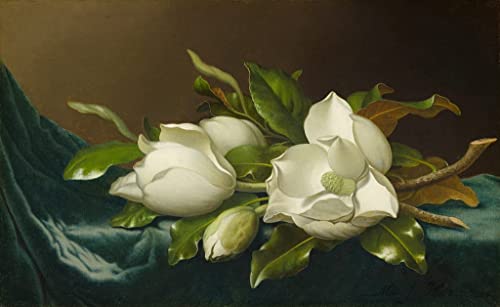 Toile peinture murale Magnolias Johnson Heade pour créer une ambiance sereine