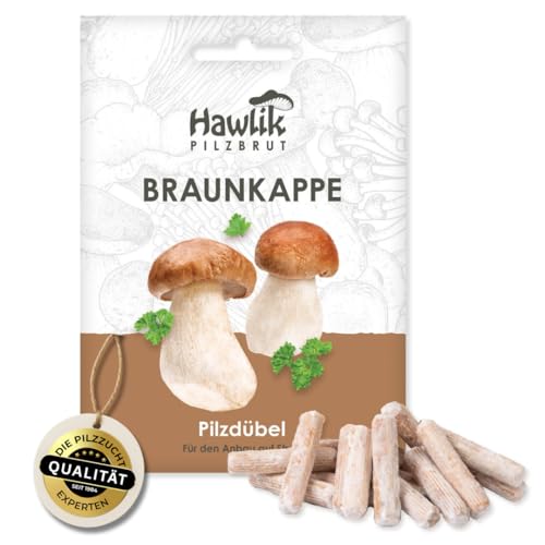Hawlik Pilzbrut I das Original I Braunkappe als Dübel-Brut zum selber züchten I kinderleicht frische Pilze züchten | 20 Pilzdübel für die Zucht auf Stroh