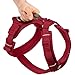 HUNTER Geschirr Maldon Up Limited Edition kirschrot M