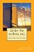 Under the endless sky. A thousand days of sea, adventure, and freedom: around the world on a sailboat.