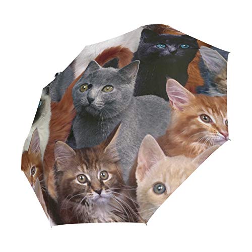 Ajinga Kittens Black Cat Folding Umbrella Sun Block Windproof Rain Automatic Open Close Travel Anti-Uv Sun Umbrellas #TOP1