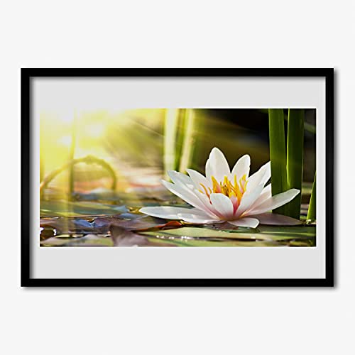 Cadre en MDF de qualité supérieure pour affiche lis d'eau 70x50 cm Tulup