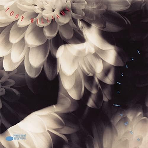 ANTHONY WILLIAMS TONY WILLIAMS - Angel Street - CD