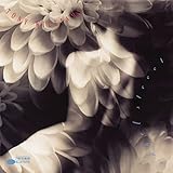 �G���W�F���E�X�g���[�g
