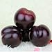 Gresorth 8pcs Artificial Realistic Brin Plum Fake Fruit Home Party Decoration Food Toy Photography Props Model