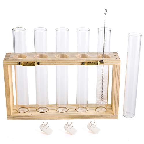 Jucoan Glass Planter Propagation Station, Wall Hanging Glass Terrarium Planter With Wood Stand, Desktop Glass Vase Plant Terrarium For Hydroponics Plants, Home Office Garden Decor #TOP4