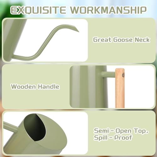 CEWOR Regador para Plantas de Interior, Verde Sálvia, 35 Onças, Bonito, Regador de Metal para Interi