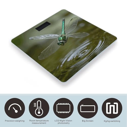 Báscula digital para baño con pantalla LCD grande miniatura 3