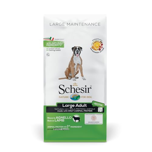 Schesir, Alimento Secco per Cani Adulti, Linea Mantenimento, Ricco in Agnello, Formato Large, 12 kg