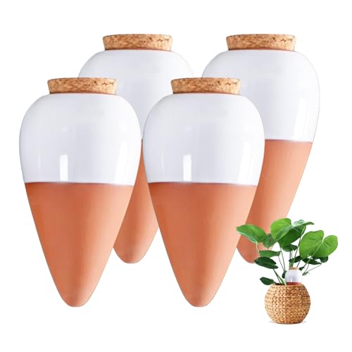 Ollas Terre Cuite à Planter, Oyas a Planter Terre Cuite,