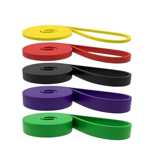 ���W�X�^���X�o���h�Z�b�g �ؗ̓g���[�j���O �����x �`���[�u �X�g���b�`�p �����⏕ �v���A�b�v�⏕ �Ƒ��ꏏ�Ɏg�p ��p���[�o�b�O�t�� ��v ������قȂ鋭�x �t�B�b�g�l�X �_�C�G�b�g ���K ���K �j�����p (230�`250LB,�O���[) [���s�A���i]