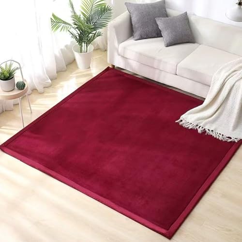 Alfombra infantil gruesa de terciopelo coral antideslizante Manta de Juegos Alfombra Yoga, Ejercicio y Gateo de Terciopelo Coral Grueso Alfombra para Sala de Estar y Habitación de Niños 190 x 300 cm