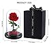 The Ultimate “Beauty and The Beast” Keepsake,Forever Flowers,Preserved Real Fresh Rose in Glass Dome Cover with Gift Box for Her，Valentine's Day, Mother's Day, Anniversary, Birthday, Wedding(White)