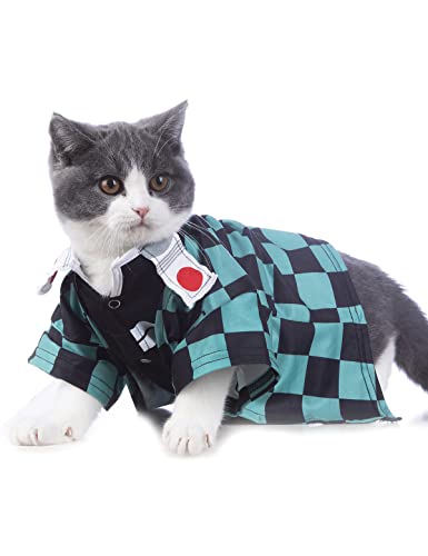 Impoosy Fantasia de gato divertida roupas para animais de estimação gatinho roupas para filhotes de