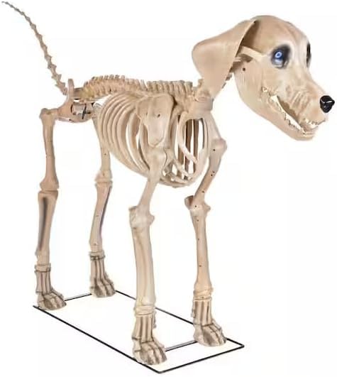 *NEW* Halloween Decorations! 