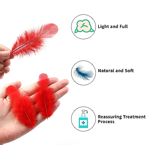 Soarer Red Craft Feathers Bulk - 300pcs 3-5inch Natural Feathers for Wedding Home Party, Dream Catcher Supplies and DIY Crafts(Red)